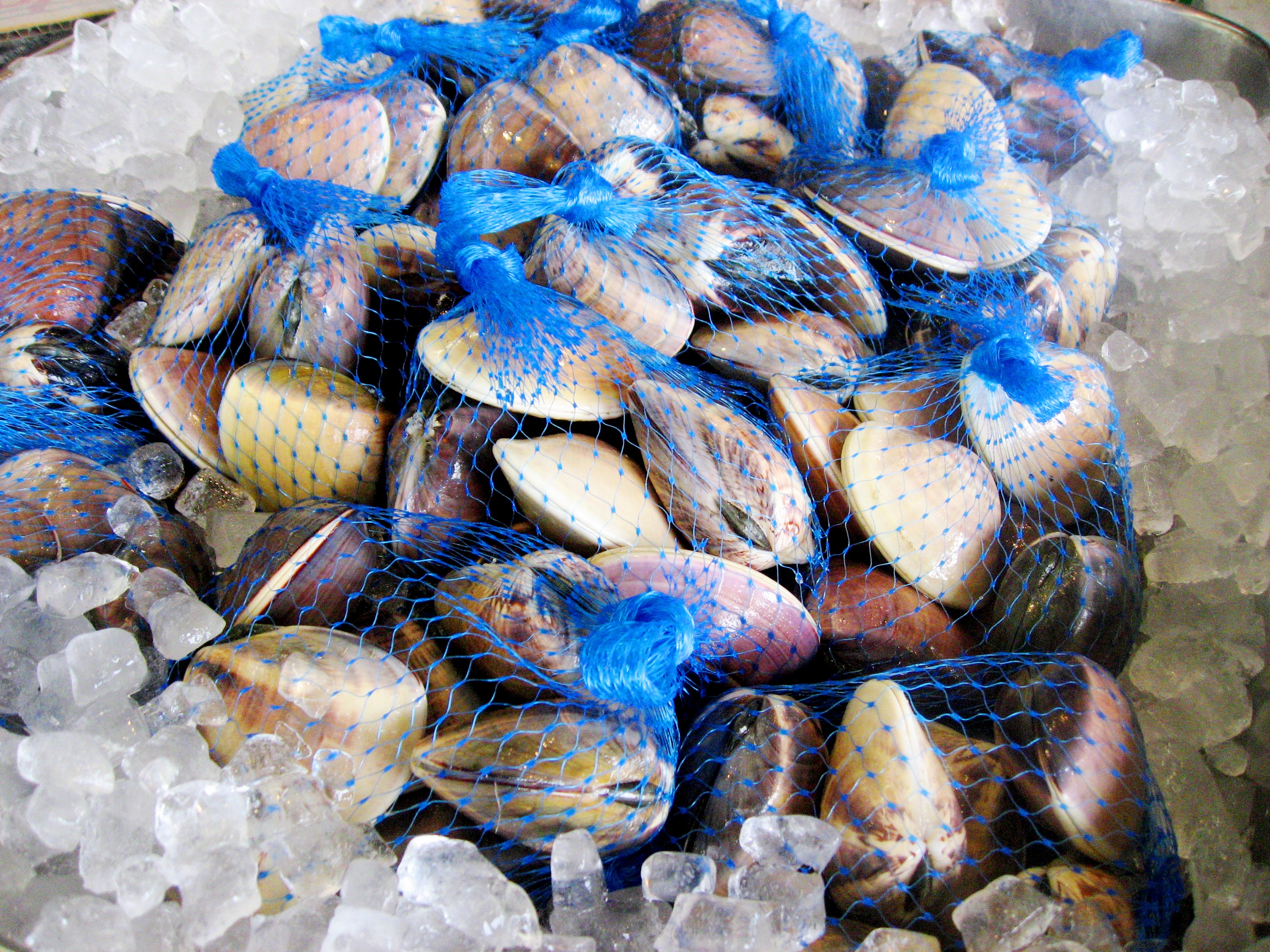 １番人気 はまぐり トピックス 大洗海鮮市場